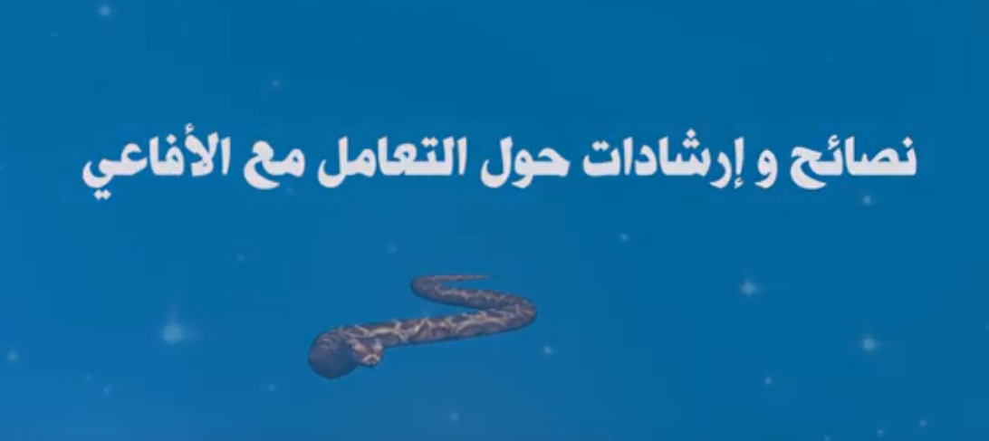 إرشادات و نصائح حول التعامل مع الأفاعي