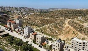 شكارنة: 25% من القضايا المرفوعة أمام المحاكم تتعلق بالخلافات حول ملكية الأراضي