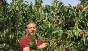 منظمات أهلية وحقوقية تدين تعذيب الاسير العربيد وتعتبره محاولة تصفية