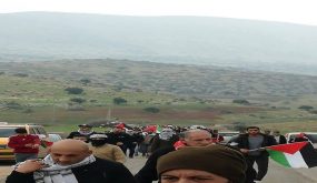 الآلاف من أبناء شعبنا يشاركون في فعالية “حماية الأغوار”