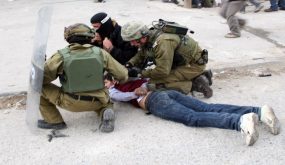 الاحتلال يعتقل طفلين شقيقين من بيت جالا