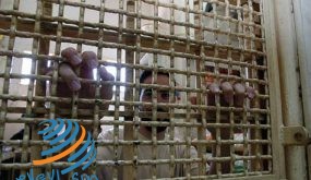 “هيئة الأسرى”: إدارة السجون تمارس كل أنواع المضايقات بحق الأسرى في شهر رمضان الفضيل