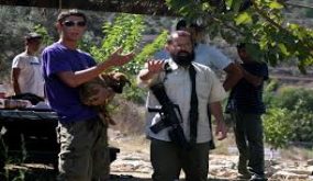 مستوطنون يعتدون على مزارعين وناشط في مسافر يطا