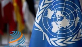 الأمم المتحدة تختار الوكالة الفلسطينية للتعاون الدولي كشريك استراتيجي دوري مميز