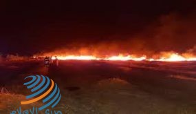 احتراق أراض زراعية شرق يطا بسبب قنابل أطلقها الاحتلال