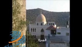 قيرة.. استصلاح أرض زراعية لمساعدة الفقراء