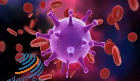قطر تسجل 1097 إصابة جديدة بفيروس كورونا وحالتي وفاة