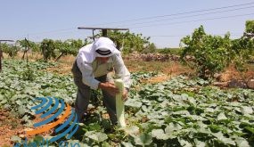 رام الله: مجتمعون يؤكدون ضرورة دعم المزارعين وتمكينهم اقتصاديا