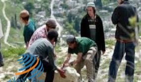 مستوطنون يطردون مزارعين بالقوة من أراضيهم شرق بيت لحم