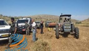 الاحتلال يصور منشآت زراعية في الأغوار الشمالية