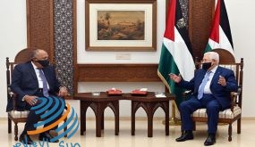 شكري عقب لقائه الرئيس: دعم مصر لفلسطين بقيادة الرئيس عباس أمر حتمي نحرص عليه