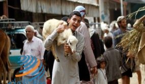 عيد الأضحى بارقة أمل لتخفيف خسائر كورونا الاقتصادية بالمغرب