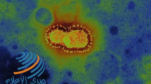 ماليزيا تسجل 14 إصابة جديدة بكورونا.. وارتفاع الإجمالي لـ 8718