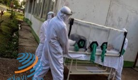المكسيك تسجل 4482 إصابة جديدة بفيروس كورونا والاجمالي يبلغ 299750 حالة
