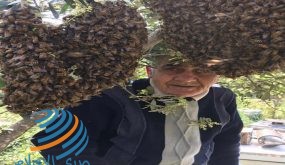 النَحَال “أبو ابراهيم”..  50 عاما في مملكة العسل