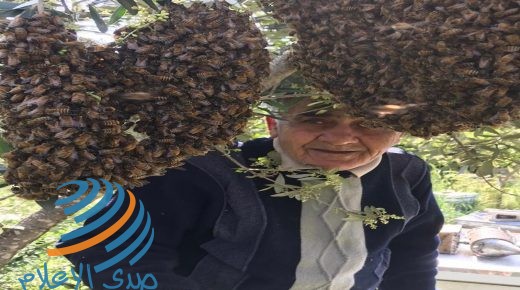 النَحَال “أبو ابراهيم”.. 50 عاما في مملكة العسل
