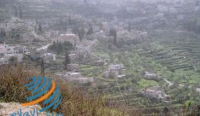 أهالي بتير يتصدون لمحاولات استيطانية للاستيلاء على أراضيهم