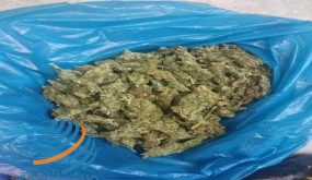 المخابرات العامة والشرطة يضبطون كيلو ونصف من مادة القنب المخدرة بحوزة شخصين في طولكرم
