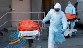 ولاية فلوريدا الأمريكية تعلن تسجيل 2673 حالة إصابة جديدة بفيروس كورونا