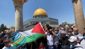 غضب شعبي.. أبناء شعبنا في الضفة والقطاع ينددون بالإعلان الثلاثي المشؤوم