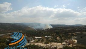 مستوطنون يضرمون النار بحقول زراعية جنوب غرب نابلس