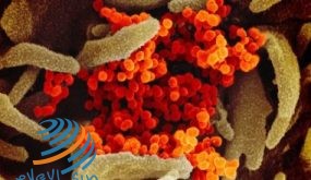 سنغافورة تسجل 27 إصابة جديدة بفيروس كورونا