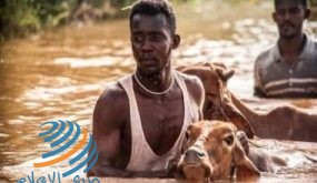 ارتفاع عدد المتضررين في السودان نتيجة للفيضانات لأكثر من 770 ألف شخص