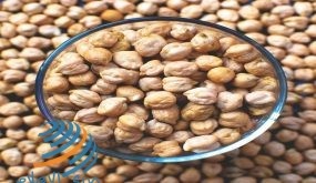 أطعمة تحتوي على كربوهيدرات صحية يجب أن تدرجها في نظامك الغذائي