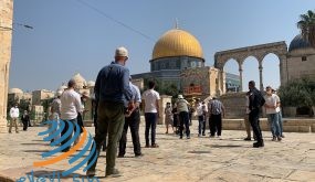 124 مستوطنا يقتحمون المسجد “الأقصى”