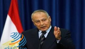 أبو الغيط: اجتماع الأمناء العامين للفصائل الفلسطينية خطوة إيجابية لتوحيد الصف الفلسطيني