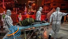 هولندا تسجل أعلى زيادة يومية لها في الإصابات بفيروس كورونا