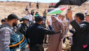 الاحتلال ومستوطنوه يصعدون من جرائمهم بحق أبناء شعبنا وممتلكاتهم