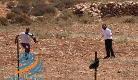 إصابة مواطنين برضوض بعد اعتداء مستوطنين عليهما جنوب نابلس