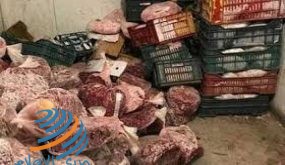 ضبط نحو 2 طن لحوم مجمدة غير صالحة للاستهلاك الآدمي في محافظة قلقيلية