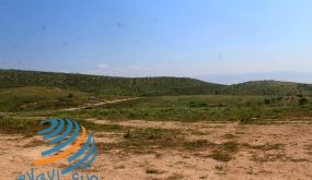 المحميات الطبيعية.. الطريقة الخفيّة للاستيطان في الأغوار