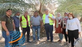 نقابة الزراعة تتفقد العاملين والعاملات في الأغوار