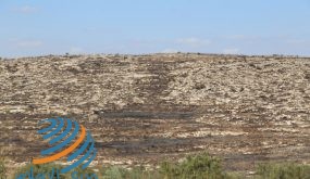 جودة البيئة: الاحتلال يدمر الغطاء الأرضي والنباتي لأراضينا في قرية صفا