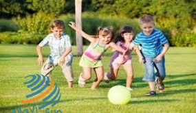 الديك يؤكد أهمية استكمال بناء منظومة الحماية الاجتماعية