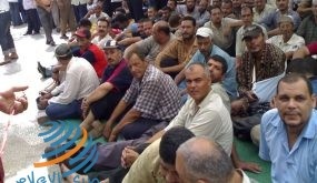 معدل البطالة في مصر يتراجع إلى 7.3%