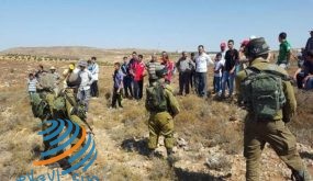 الاحتلال يجبر عائلة على مغادرة أرضها تحت تهديد السلاح شمال الخليل