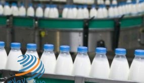 حماية المستهلك: سوق الضفة وغزة وحدة جغرافية متكاملة