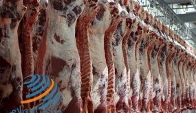 اتحاد المصدرين الأتراك: السعودية تعلق استيراد بعض السلع التركية