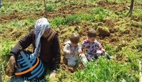 الكوفية.. هوية عز وشموخ