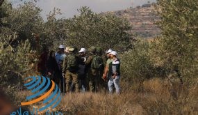 الاحتلال يمنع المواطنين من زراعة أشجار زيتون جنوب نابلس