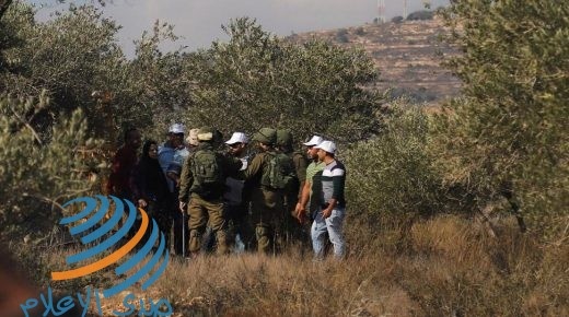 الاحتلال يمنع المواطنين من زراعة أشجار زيتون جنوب نابلس