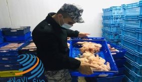 الضابطة الجمركية تضبط طن ونصف دجاج لاحم مهرب من إسرائيل في طولكرم