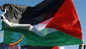 الحملة الأكاديمية الدولية تطالب الأمم المتحدة بتفعيل قراراتها بشأن احترام حقوق الإنسان في فلسطين