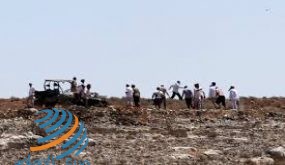 المستوطنون يصعّدون اعتداءاتهم الممنهجة في الخليل