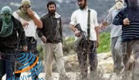 مستوطنون يعتدون بالضرب على صحفي في تل الرميدة بالخليل
