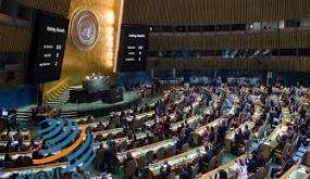 الجمعية العامة تصوت على حق شعبنا في تقرير المصير